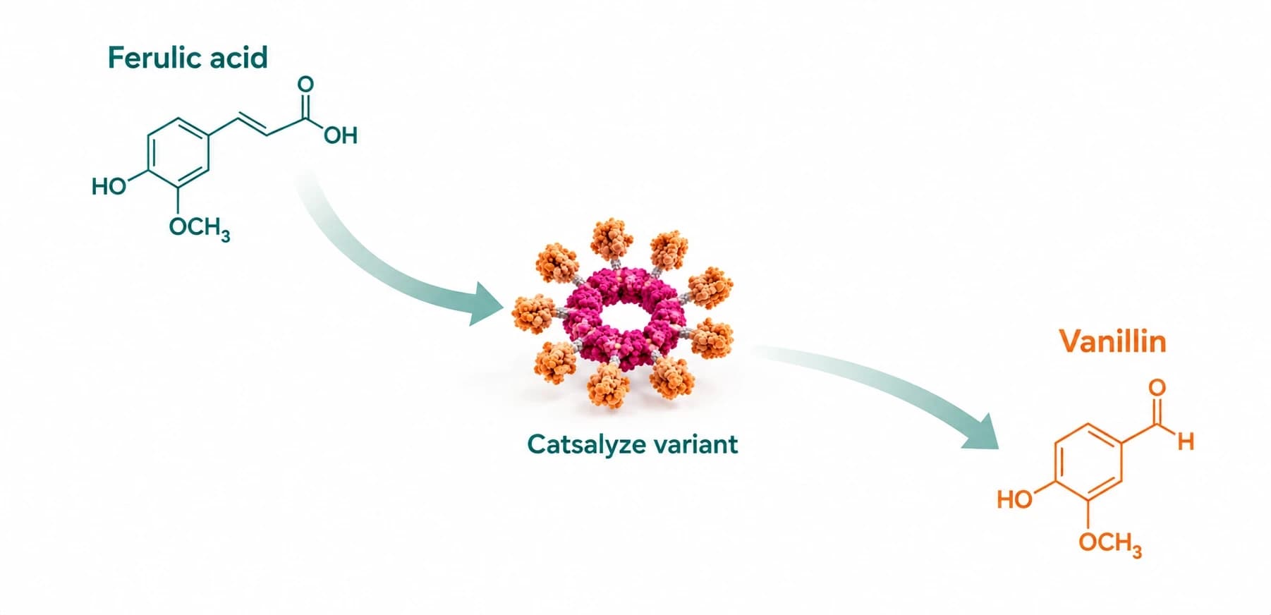 Reaction scheme: ferulic acid is converted to vanillin by the Catsalyze variant enzyme